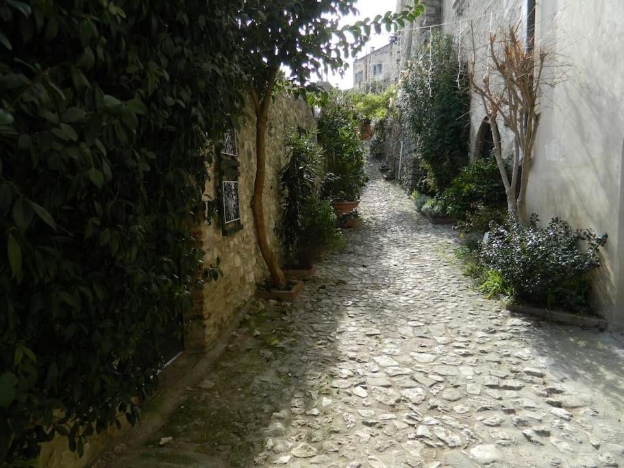 纳尔尼Casa Dell'Oliveto "Parcheggio Gratuito"公寓 外观 照片