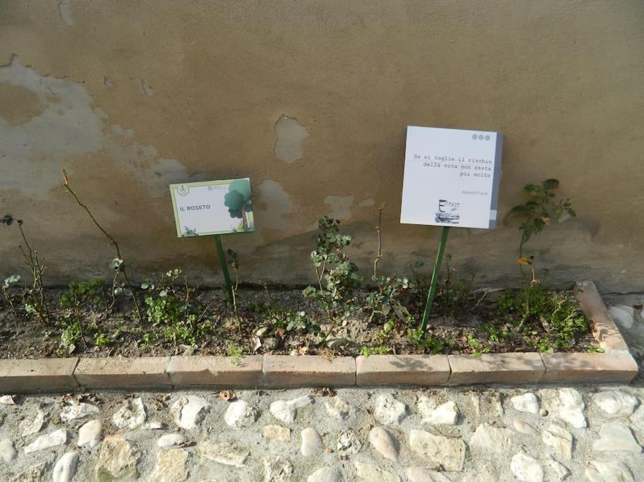 纳尔尼Casa Dell'Oliveto "Parcheggio Gratuito"公寓 外观 照片