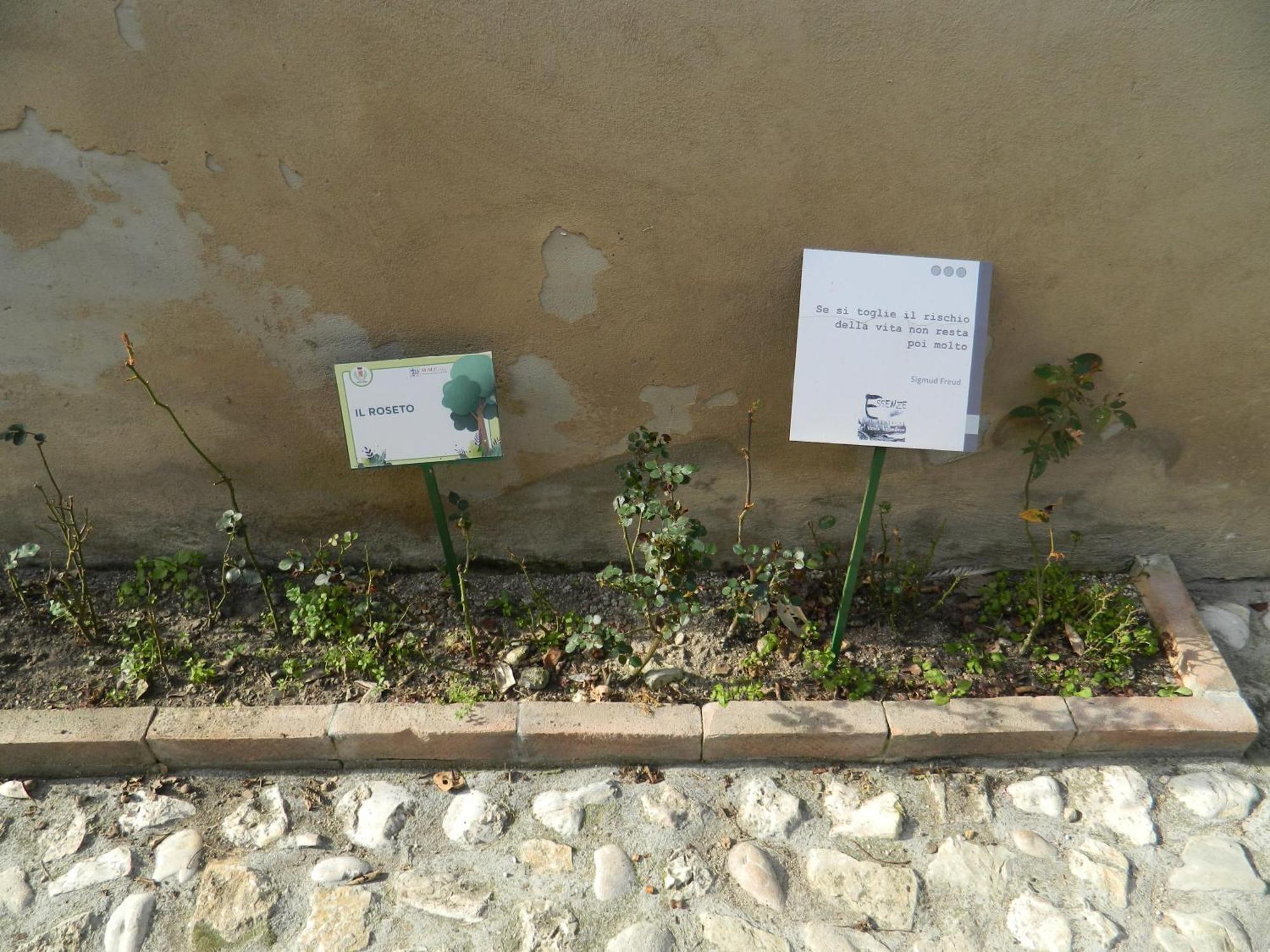 纳尔尼Casa Dell'Oliveto "Parcheggio Gratuito"公寓 外观 照片