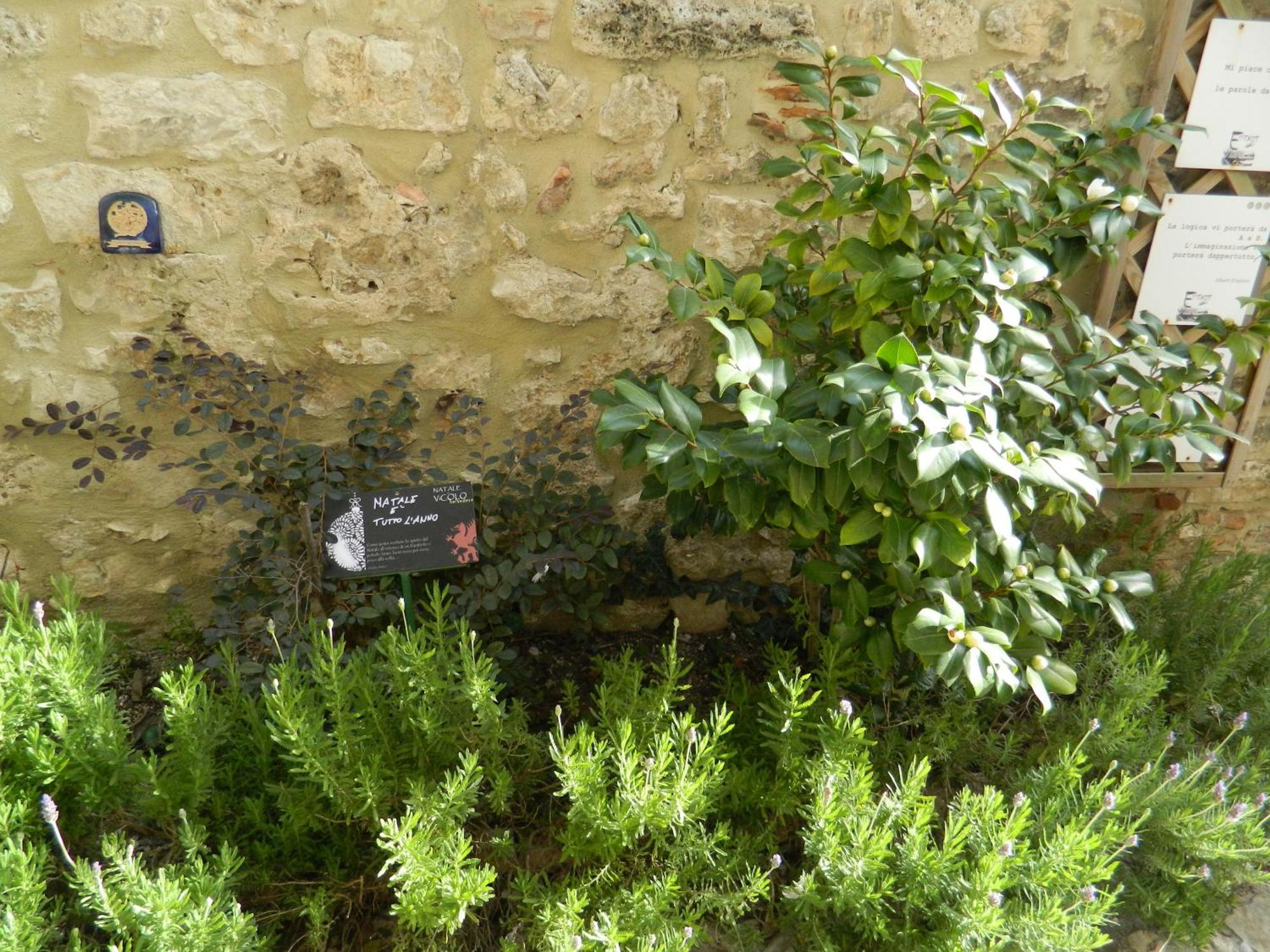 纳尔尼Casa Dell'Oliveto "Parcheggio Gratuito"公寓 外观 照片